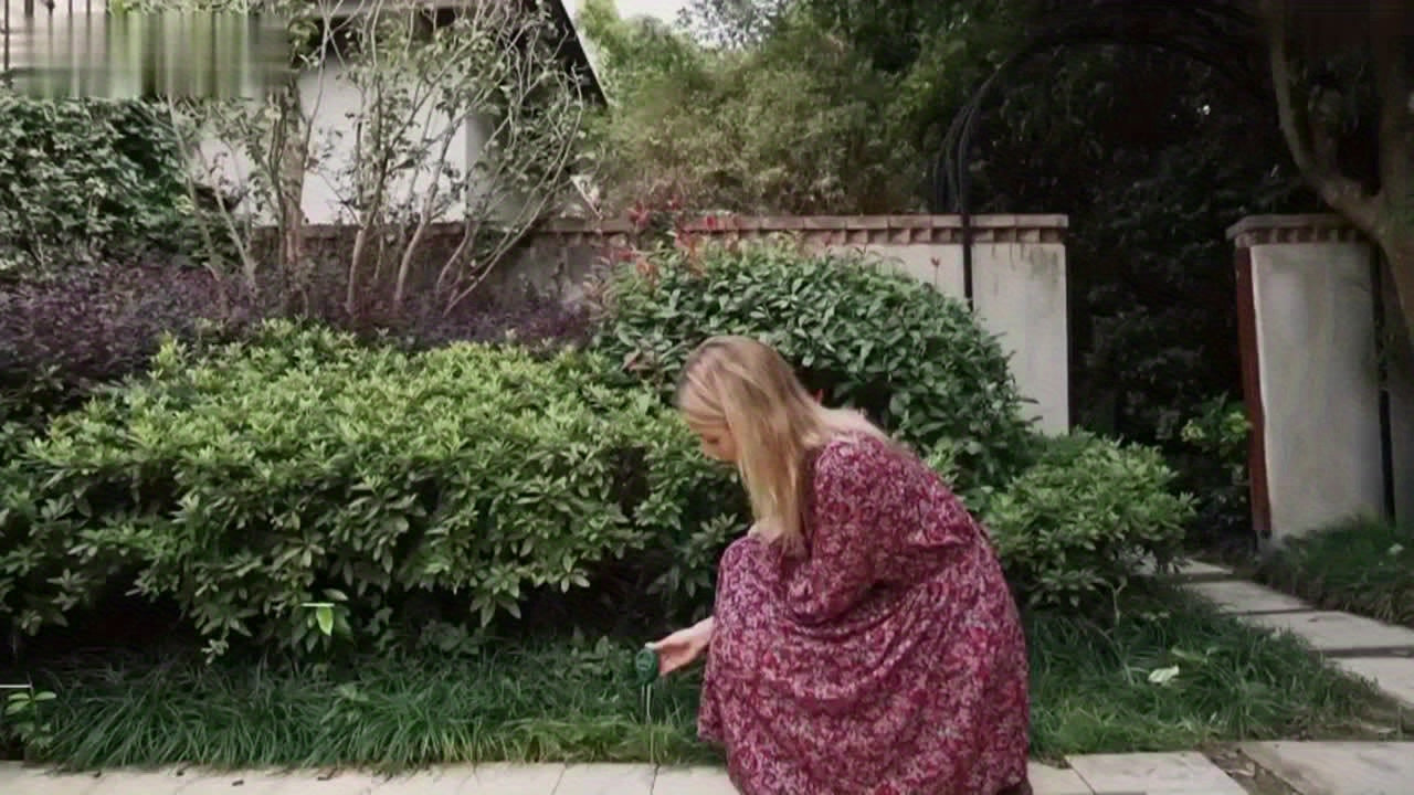 10 pack, Soil Tester, 3-in-1 Plant Moisture Meter Light And PH Tester - Alpine Outdoor Supplies and More